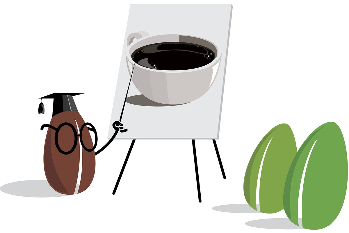 10 Fun Facts About Coffee