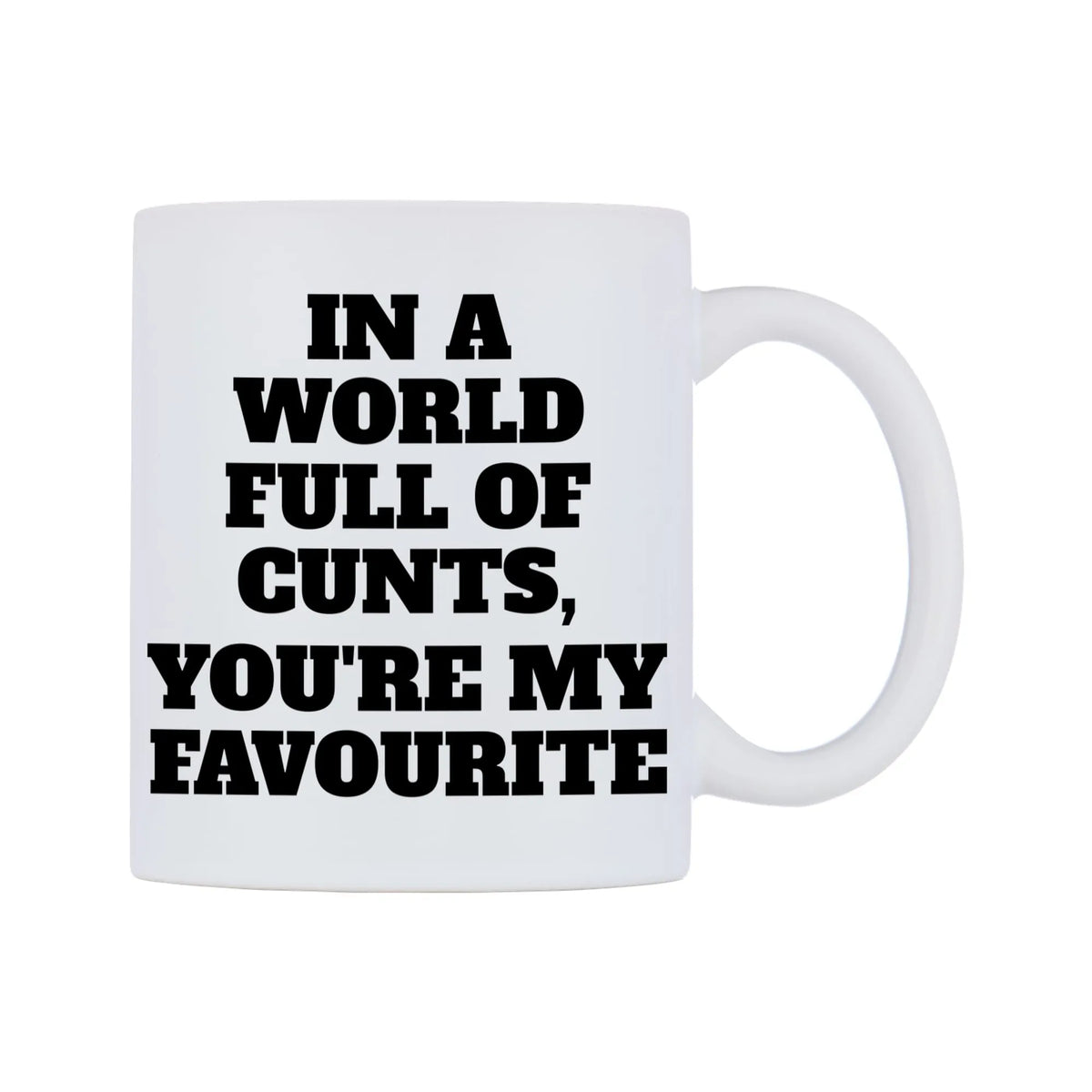 In a world full of c**ts, you're my favourite Mug — white 11oz gloss mug, left side, on a white background